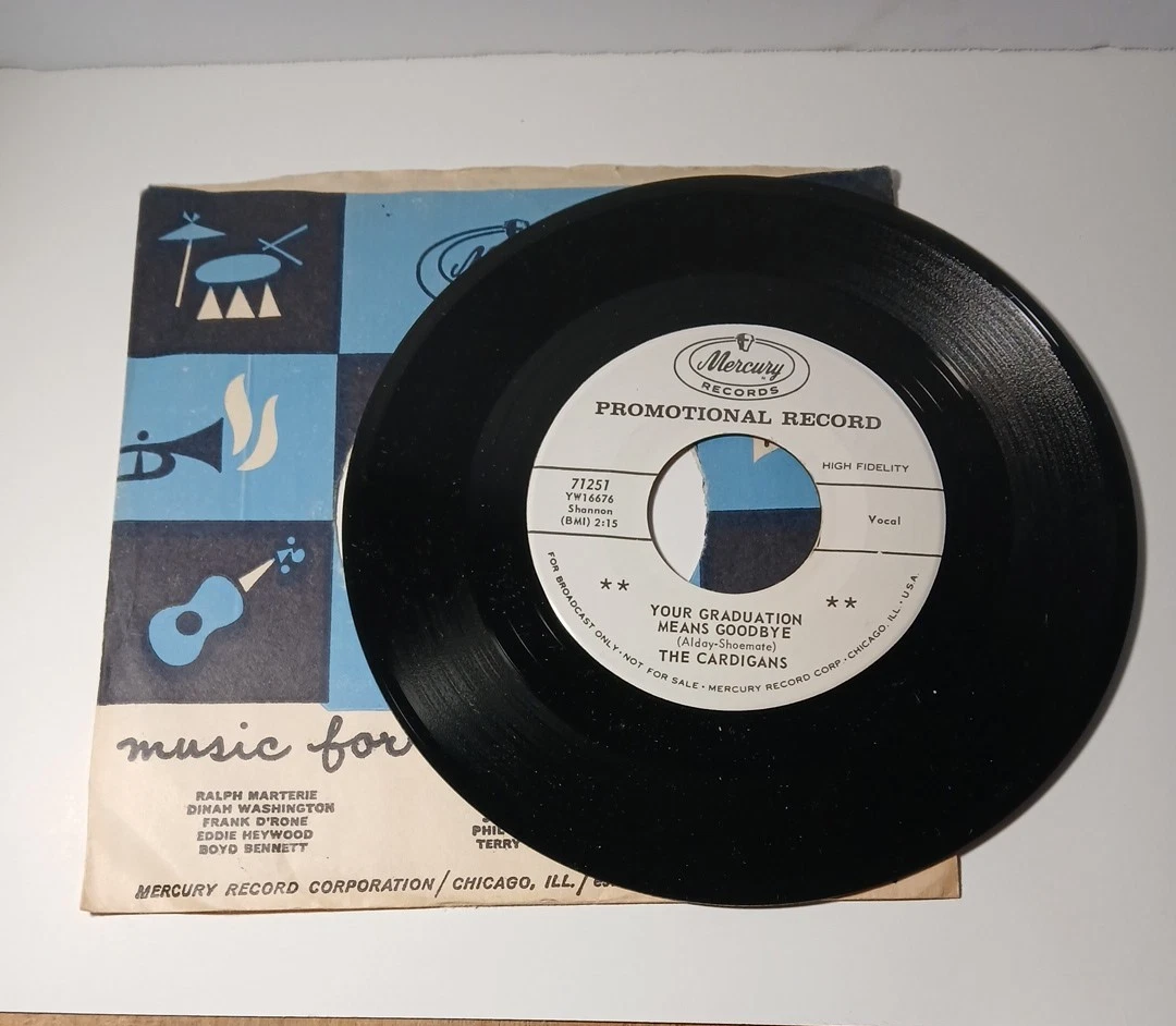 THE CARDIGANS レコード　original ② 美品 The Cardigans Vinyl Records for sale | eBay