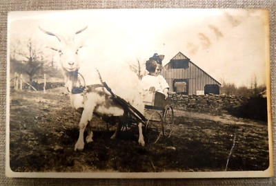 Vtg 1920? Photo POSTCARD RPPC ''Little Cutie Takes Goat Wagon Ride''