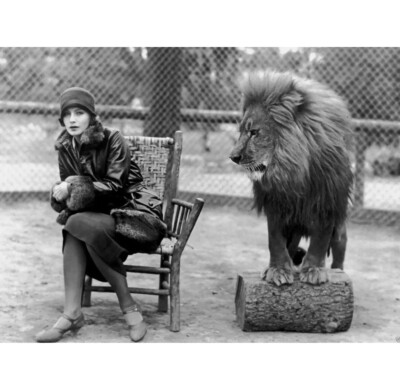 1926 Schauspielerin GRETA GARBO & THE MGM LION klassisches Werbebild Foto 4x6