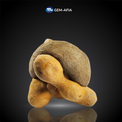 734Gr Natural Gogotte Sandstone Concretion Stone Rough Mineral Specimen