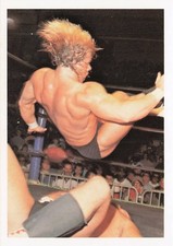 1988 Wonderama NWA #337 Lex Luger