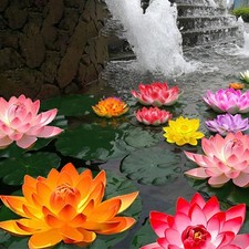 Künstliche Seerose Kunststoff Künstliche Pf...