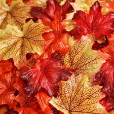 Package of 200 Assorted Autumn Fall Colored Maple Leaves