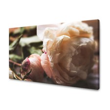 CANVAS Leinwandbilder XXL Wandbilder Kunstdruck Pfingstrose Größe 40x30-120x80
