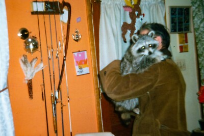 Crazy Old Redneck Pet Racoon In House 1975 Color 126 Slide #42