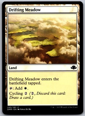 Drifting Meadow 245 C Dominaria Remastered Magic: The Gathering NM