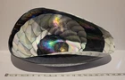 Fornace Ferro Murano Italy Art Glass Folded Abalone Nautilus Sea Shell Bowl 21”