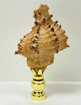 Lamp Finial-SEA SNAIL SHELL W/ Polished or Antique Brass Base (1-PC.)