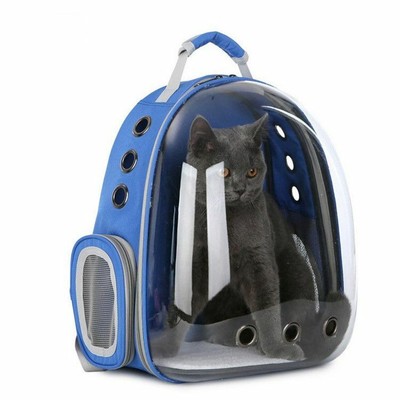 transparent cat bag