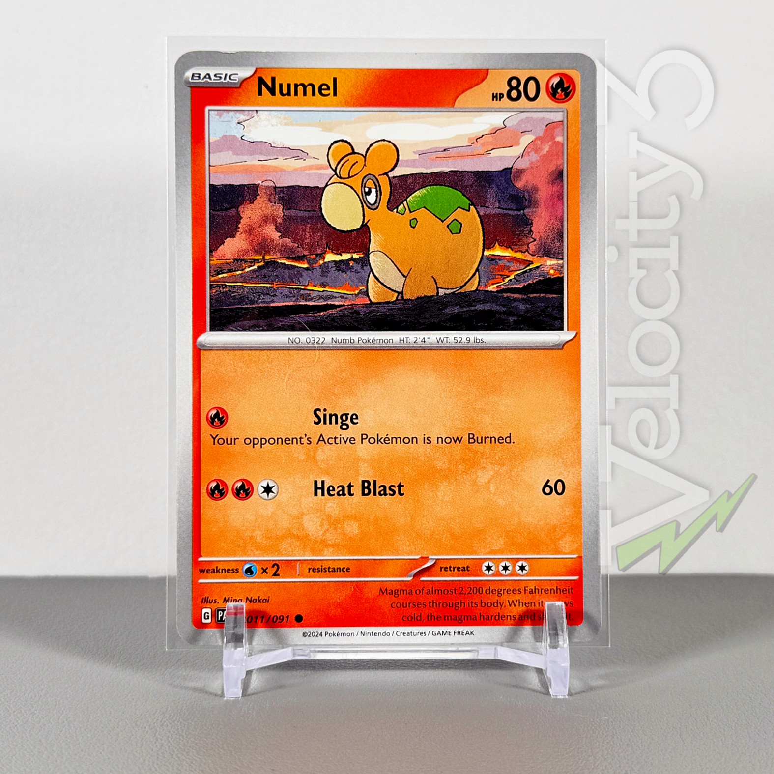 Pokemon TCG Card - Numel 11/91 Common | 2024 Paldean Fates | NM/Mint
