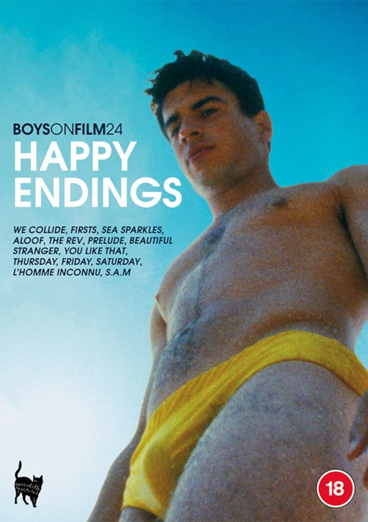 Boys On Film 24 - Happy Endings [18] DVD