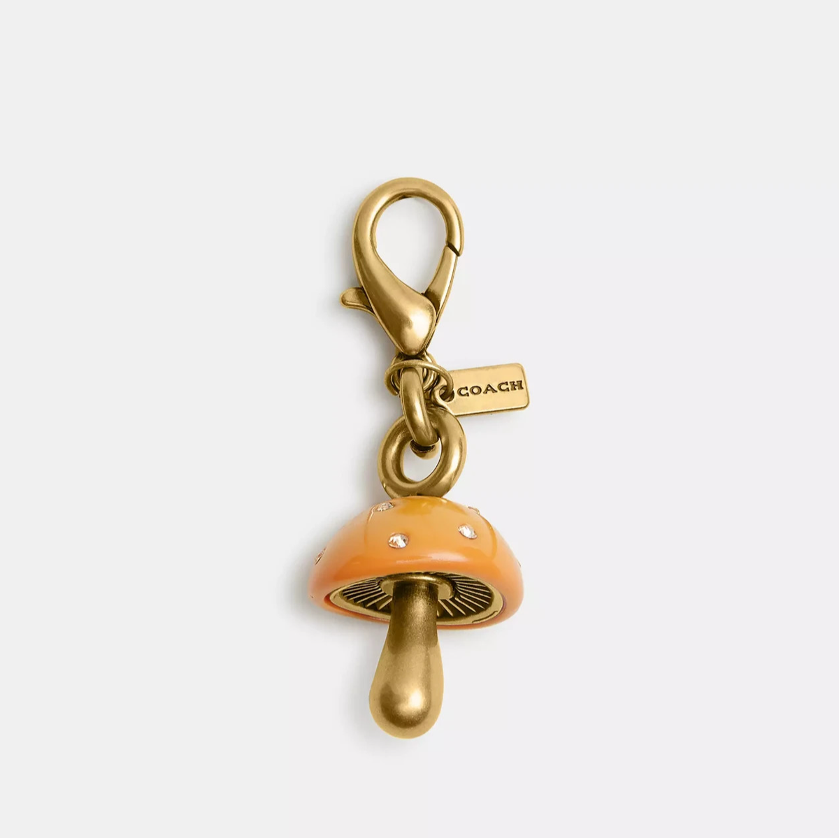 NWT Coach DIY Mushroom Charm CCX67 | eBay