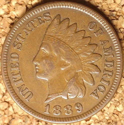 1889 Indian Head Cent - VERY FINE+++  WARM BROWN  (M747)