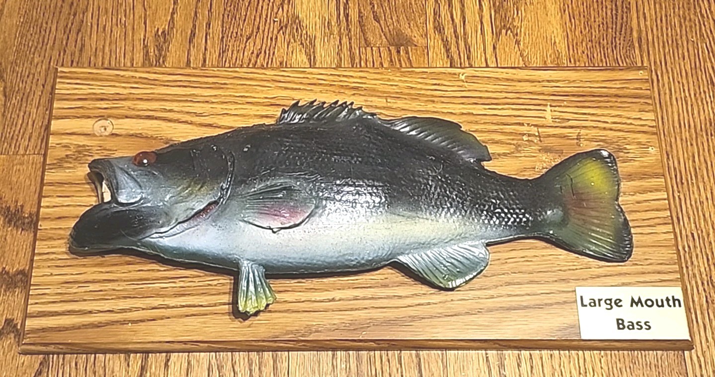 Vintage Sam's Large Mouth Bass Novelty Talking Fish 