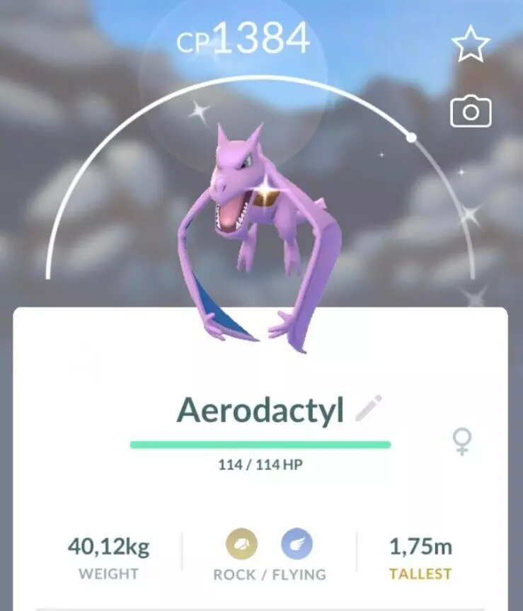 Shiny Aerodactyl 6IVs Pokemon BDSP