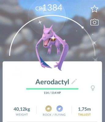 Pokemon aerodactyl 114