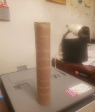 Empty Paper Towel Rolls Cardboard Tubes for Kids Arts & Crafts School