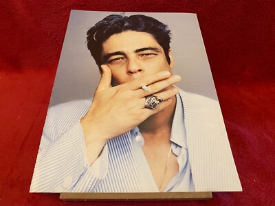 PAD21 BILD 12X9 BENICIO DEL TORO