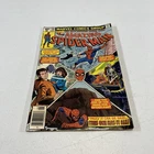 AMAZING SPIDER-MAN #195 (1979) Marvel; Wolfman, Pollard; 2nd Black Cat