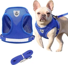 Full Coverage Dog harness no pull comfort - Small dog subcategory -no returns