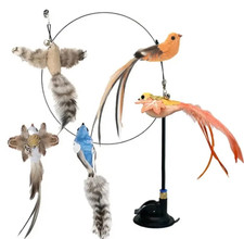 Interactive Simulation Bird Cat Toy Suction Cup Feather Teaser for Kitten