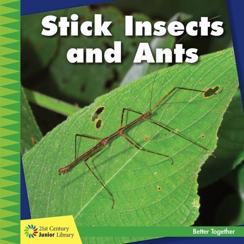 Stick Insects and Ants (21st Century Junior by Kevin Cunningham | PB | 2016 - Image 2