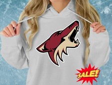Arizona Coyotes Pullover Hoodie, Size s-5xl, Hockey Playoffs Game Day Hoodie