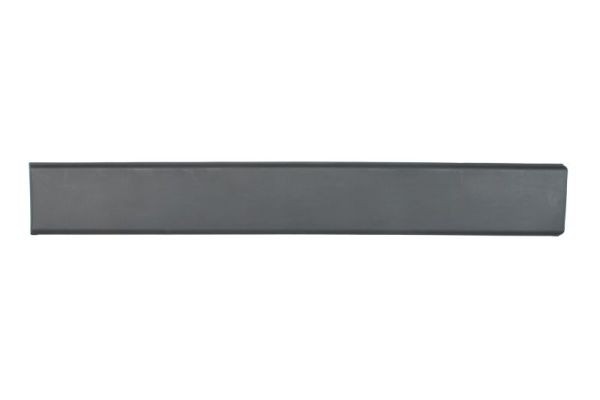 Left Front BLIC 5703-04-2097577P Trim/Protection Strip, wing for CITROËN,FIAT,OP