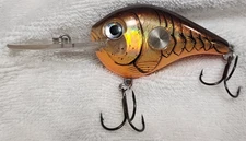 SCARCE Rapala Clackin' Crank Rusty Craw Brown Orange Craw Crankbait