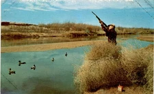 Tichnor Bros., Inc., Boston, Massachusetts, K-1915, Lusterchrome, Postcard