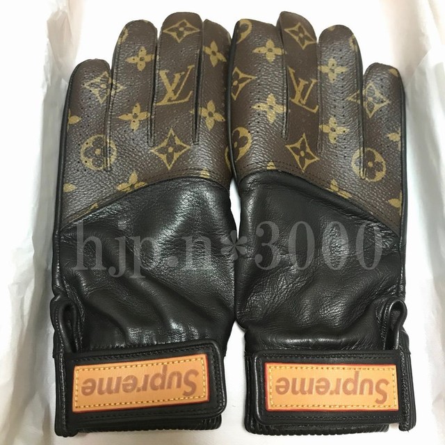 Louis Vuitton Gloves For Men Literacy Basics