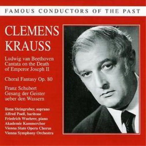Clemens Krauss Clemens Krauss Conducts (Vienna So) (CD) Album