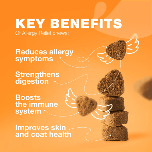 Dog Allergy Relief Chews Anti Itch Dog Allergy Chews with Salmon Oil 12.7 oz - Picture 3 of 9