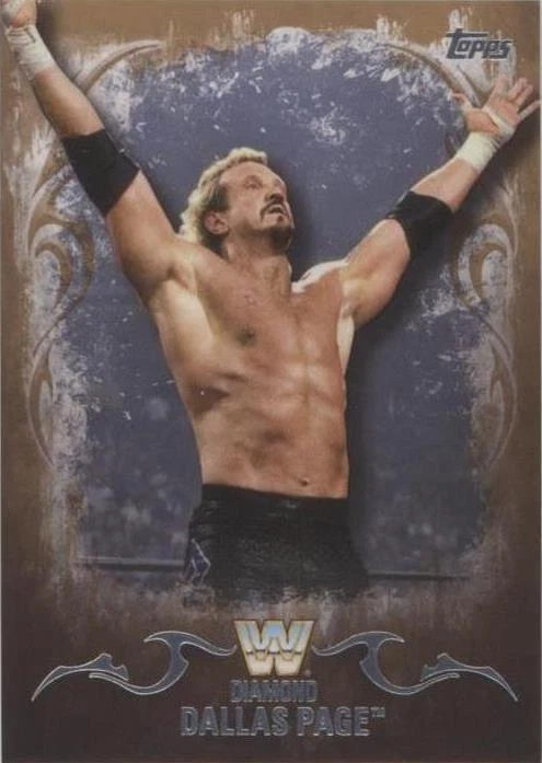 Tag Team Championship Bronze