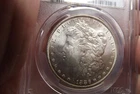 1886-P Morgan Silver Dollar Freshly graded  PCGS MS63 Blazer!