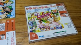 Twinkle Star Sprites Dreamcast Sega Japan Import Free shipping FedEx DHL