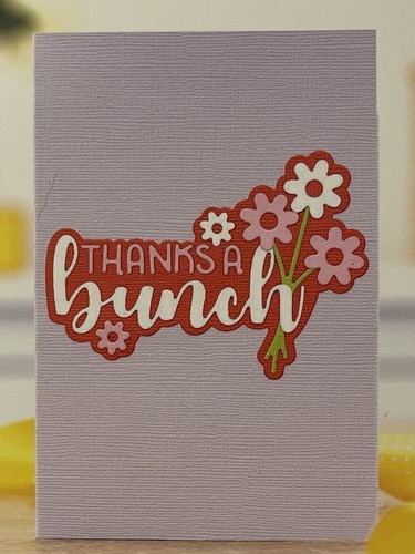 GEMINI By Crafters Companion Expressions 6 Pc Metal Die Set THANKS A BUNCH NEW - Picture 2 of 7