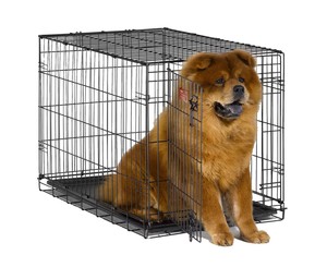 aspca plastic dog crate