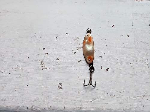 Cuiller Vintage En Laiton Pour Pêche En Eau Douce, Leurre De Collection