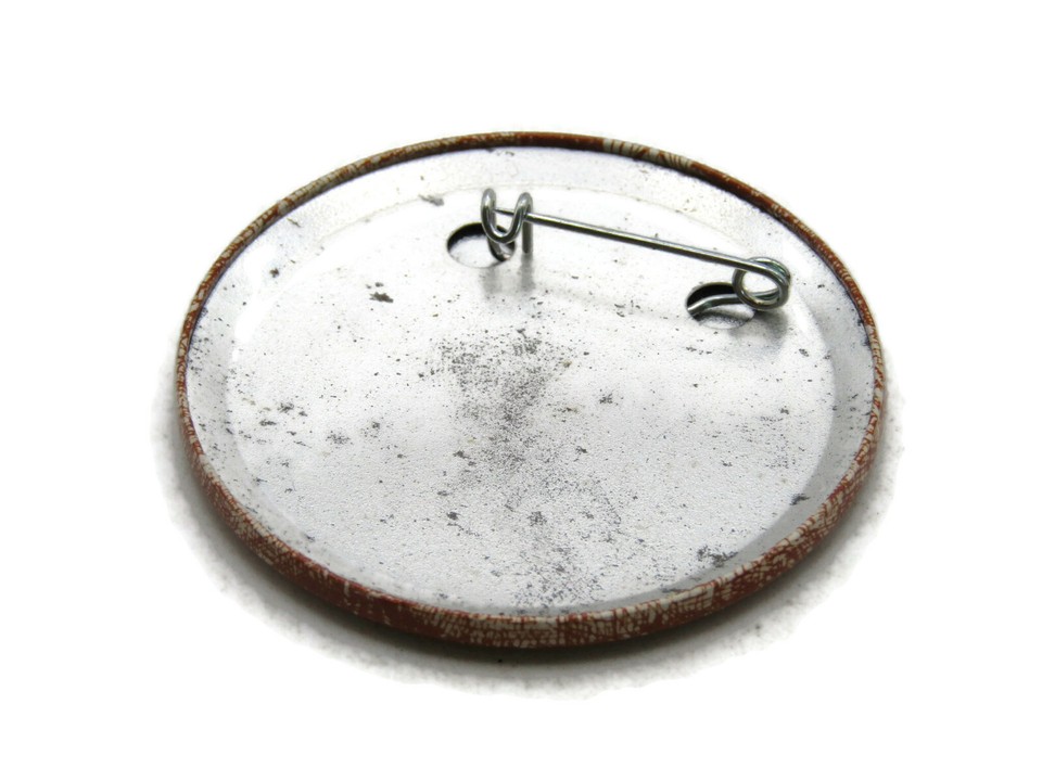 Wild Onion Festival Pin Chicago Public Library Cultural Center eBay