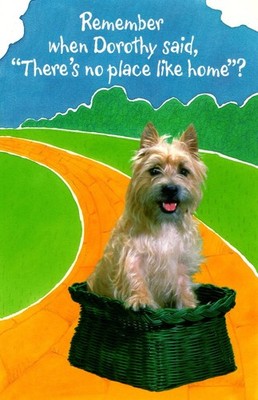 Toto Oz Yellow Brick Road Like Home Thank You Hospitality Hallmark