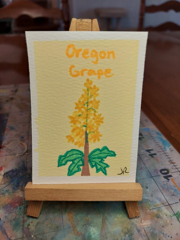 ACEO Watercolor Painting ATC OOAK handpainted State Flowers Oregon Grape ATC