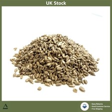 Sunflower Hearts Wild Bird Food Seed Nutrient Rich 12.54kg 3.27 per kilo