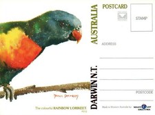 NEVILLE PETERKIN COLOURFUL RAINBOW LORIKEET PARROT POSTCARD DARWIN NT - NEW