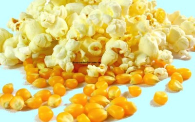 5 kg PREMIUM Popcornmais Mushroom Profi Spezial Mais für Popcorn Maschine