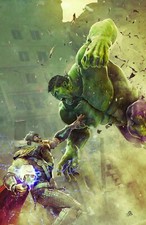 Hulk #8 Bjorn Barends Exclusive Virgin Var (0...