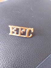 WWI Expeditionary Forces Canteen brass shoulder title