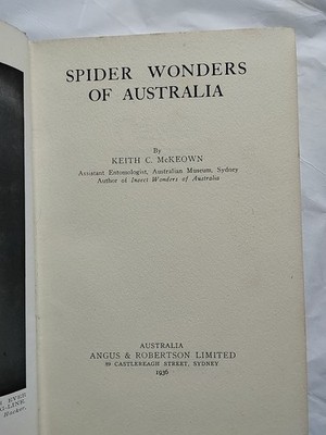 Spider Wonders Of Australia 1936 K C McKeown (445)