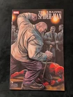 AMAZING SPIDER-MAN #16 LEE BEEMEJO VARIANT SPIDERMAN 1
