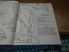 Picture 4 of 15